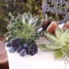 Birthday Cake | Foresty fruit cake for birthday in dubai