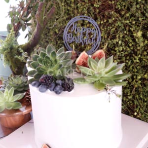 Birthday Cake | Foresty fruit cake for birthday with fresh fruits in dubai