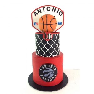 Basketball Fan Cake