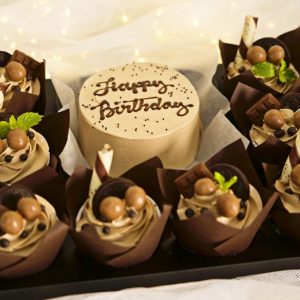 Chocolate Cake with Cupcakes