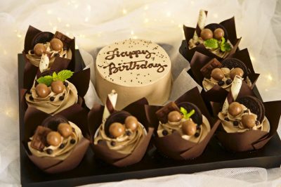 Chocolate cake with cupcakes
